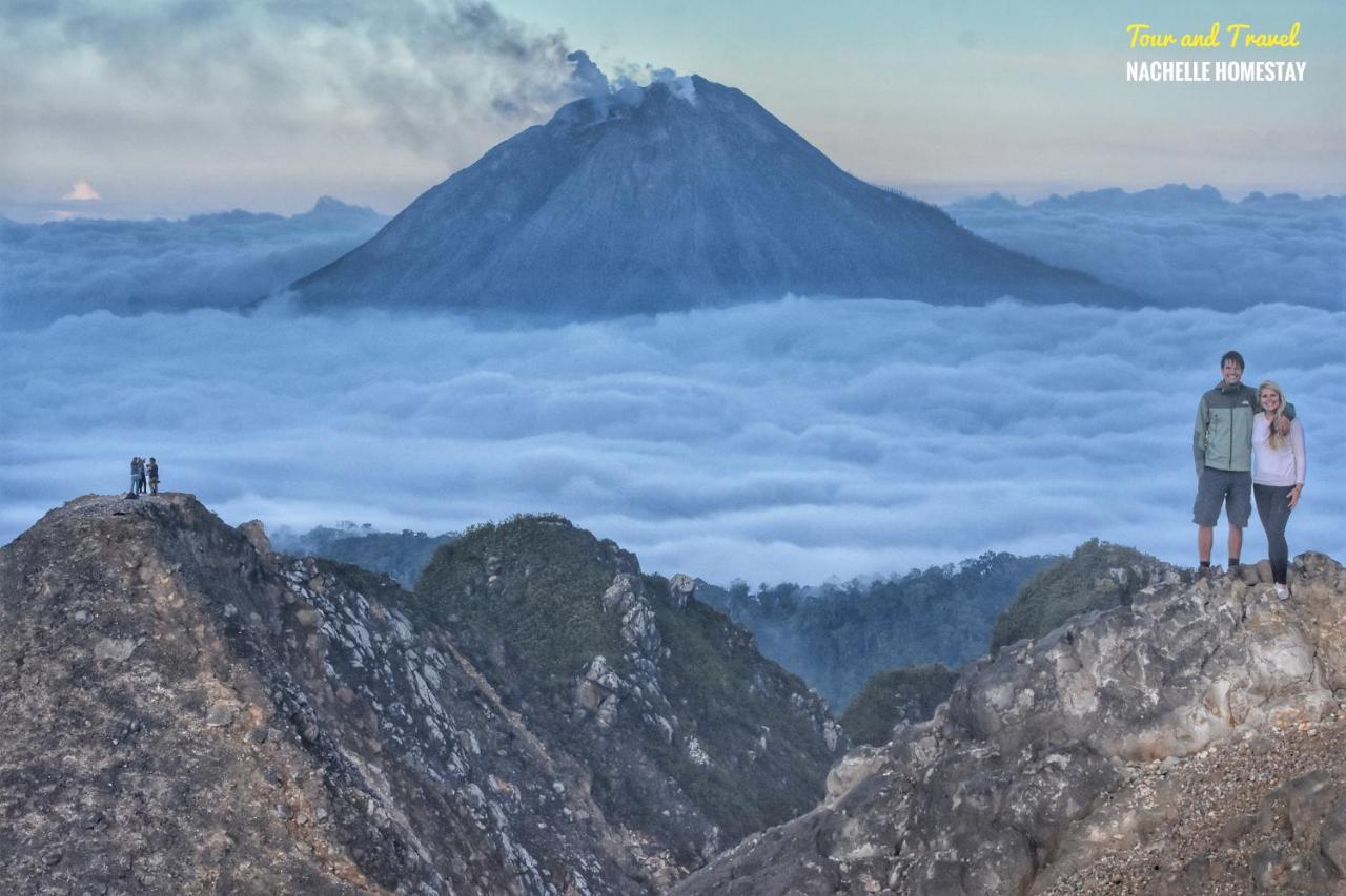 Nachelle Homestay เบอราสตากี ภายนอก รูปภาพ