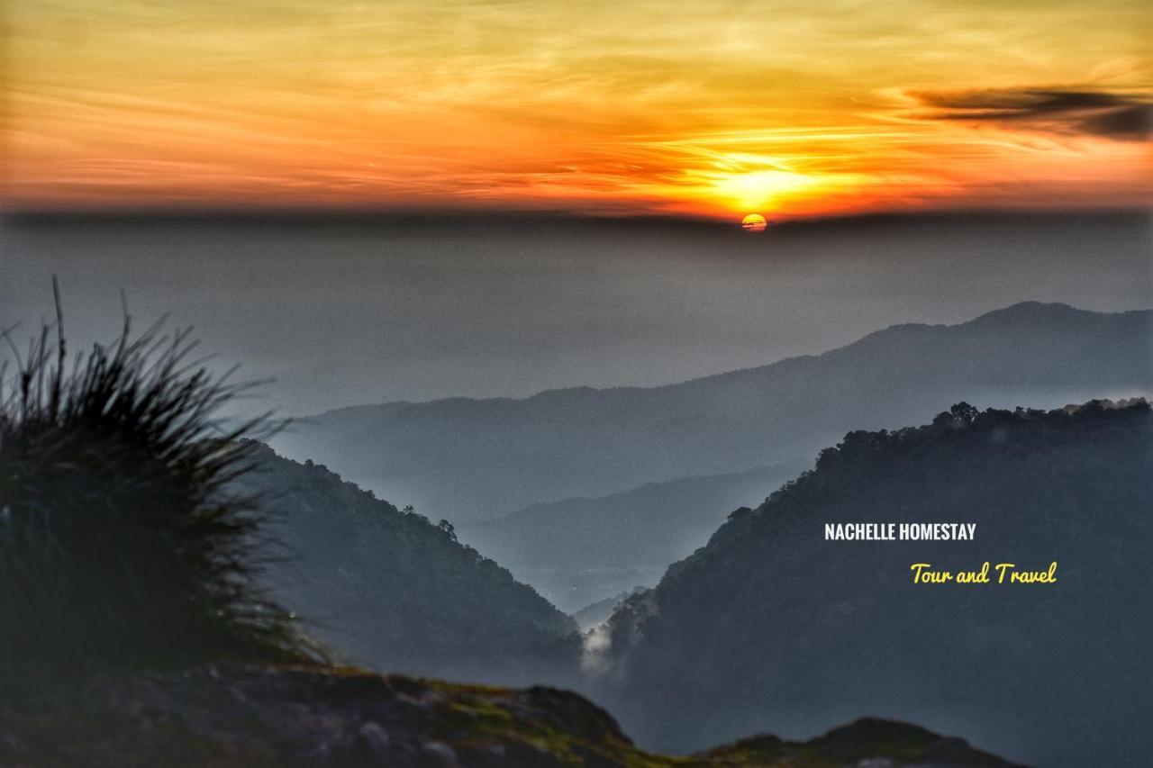 Nachelle Homestay เบอราสตากี ภายนอก รูปภาพ