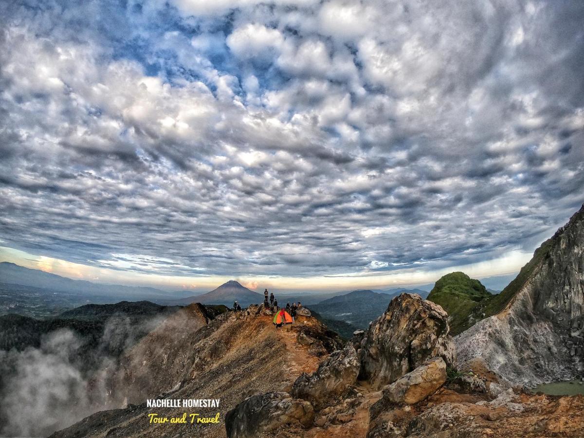 Nachelle Homestay เบอราสตากี ภายนอก รูปภาพ