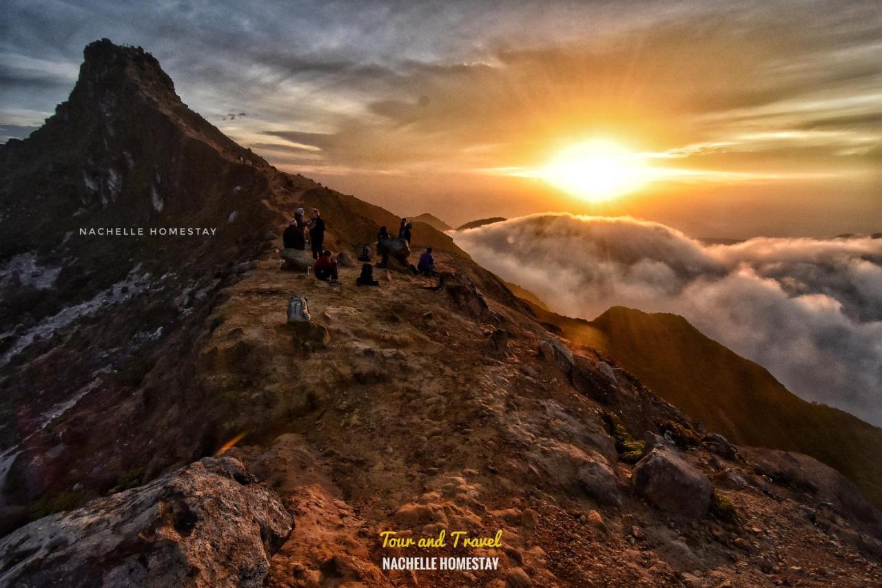 Nachelle Homestay เบอราสตากี ภายนอก รูปภาพ