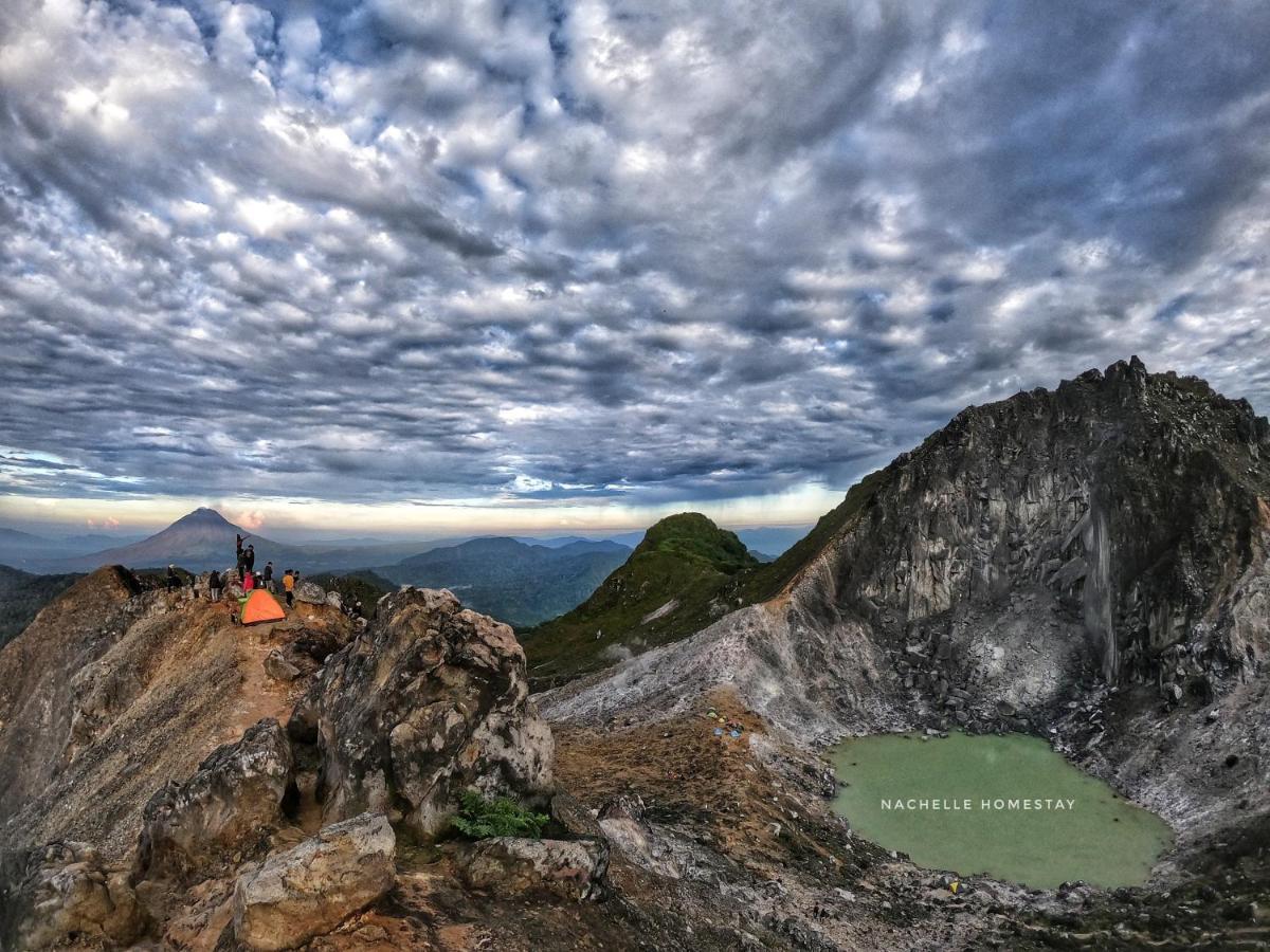 Nachelle Homestay เบอราสตากี ภายนอก รูปภาพ