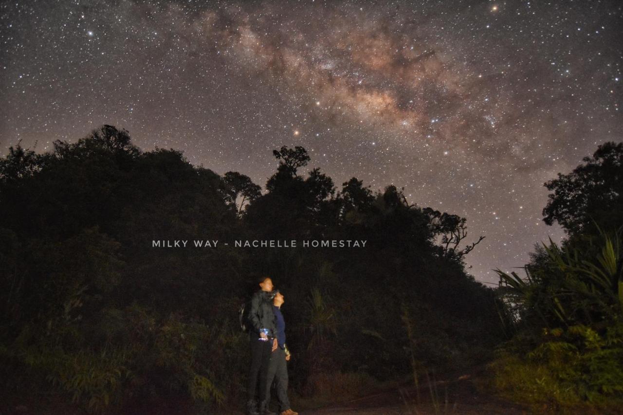 Nachelle Homestay เบอราสตากี ภายนอก รูปภาพ