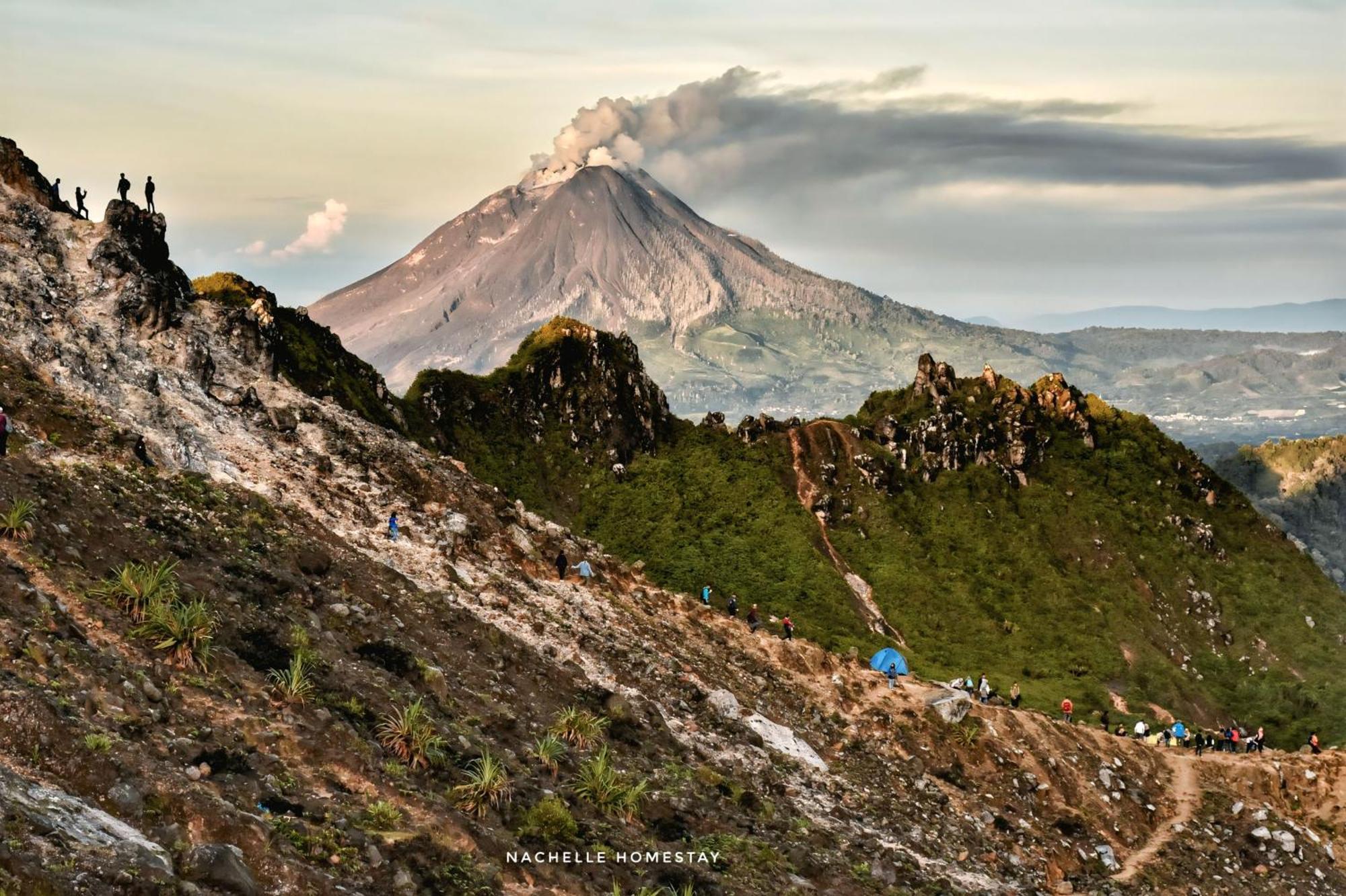 Nachelle Homestay เบอราสตากี ภายนอก รูปภาพ