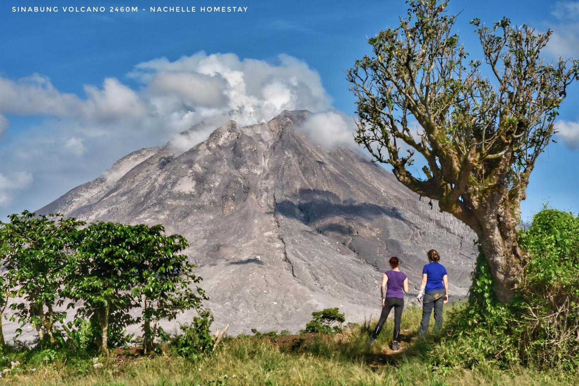 Nachelle Homestay เบอราสตากี ภายนอก รูปภาพ